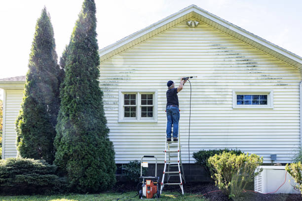 Best Dumpster Area Cleaning  in West Pittston, PA